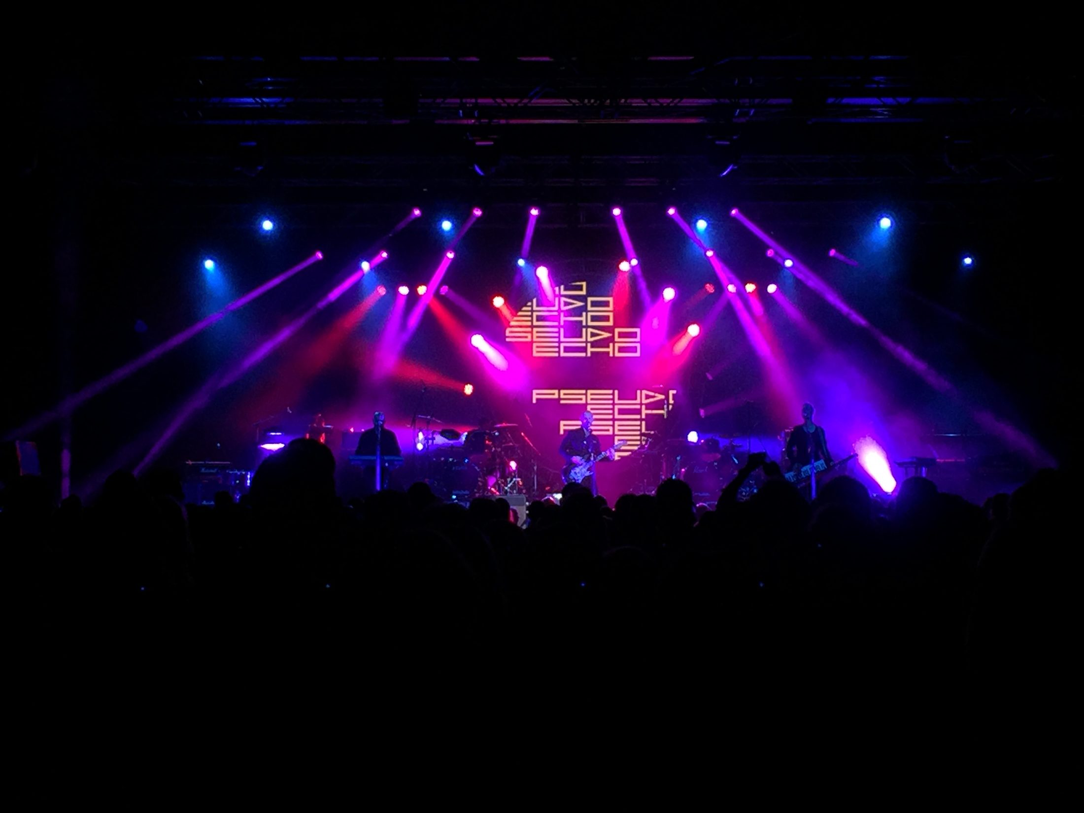 Pure Gold Live