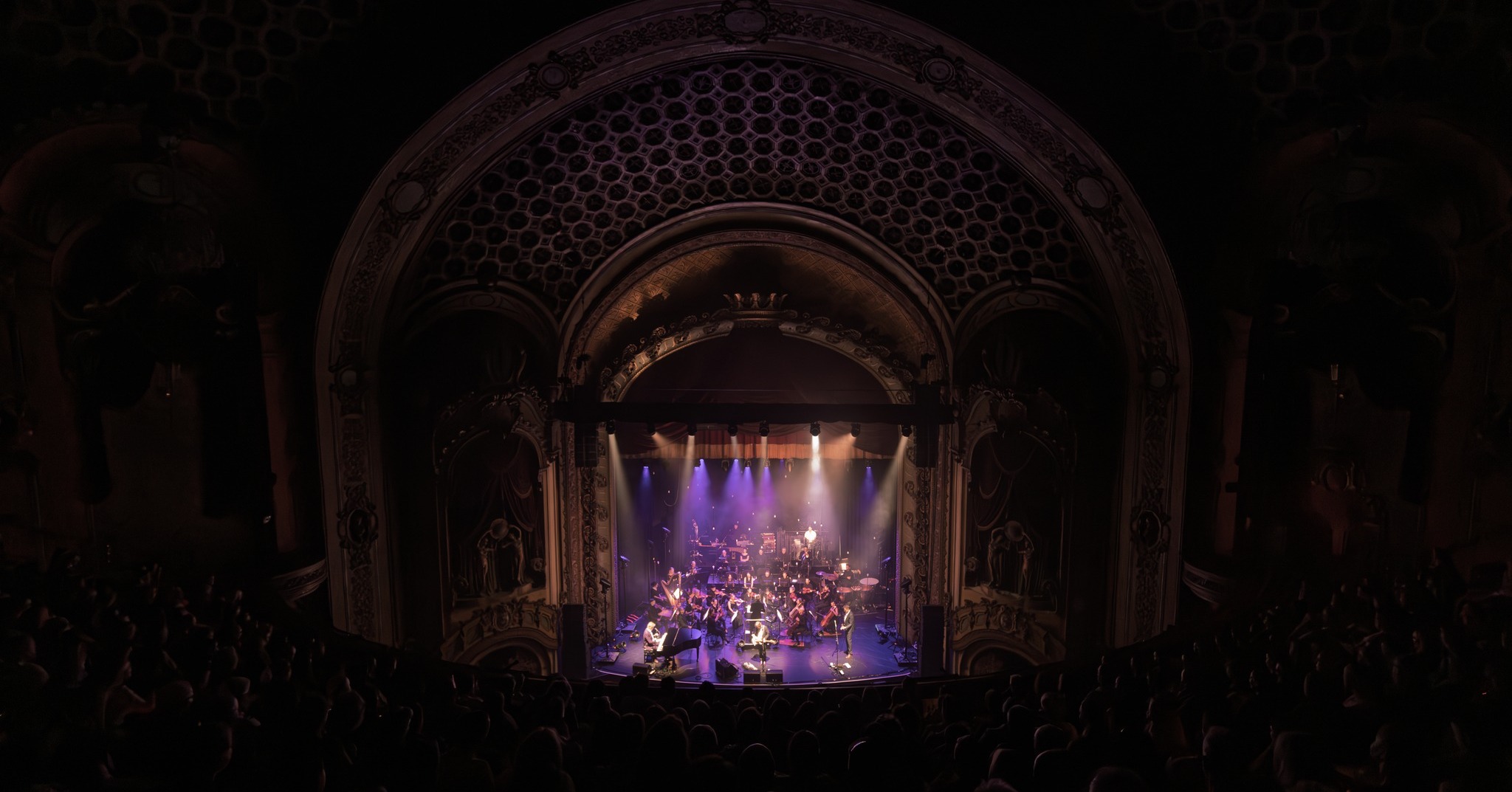 The Whitlams with Orchestra — photo 3