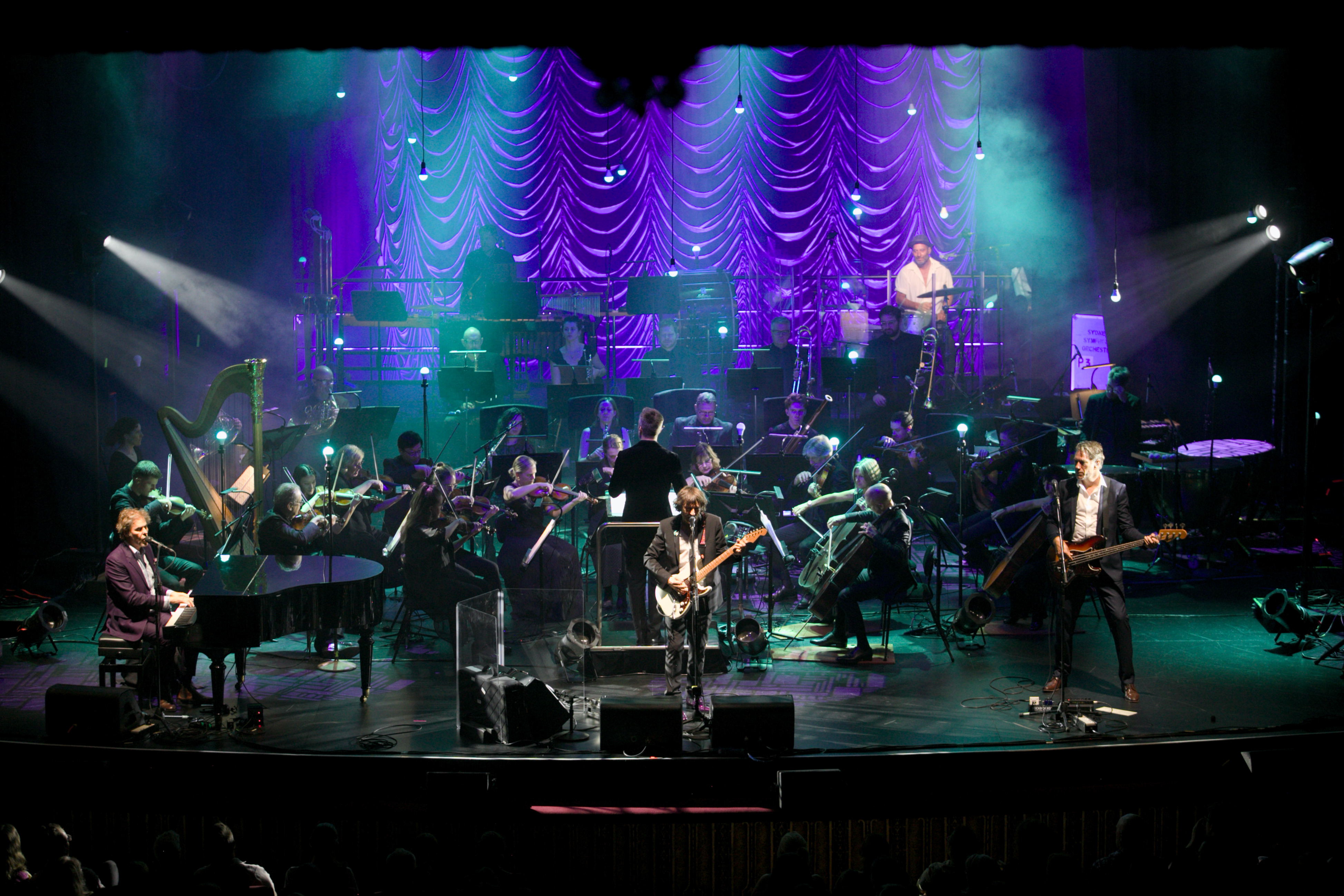 The Whitlams with Orchestra — photo 2
